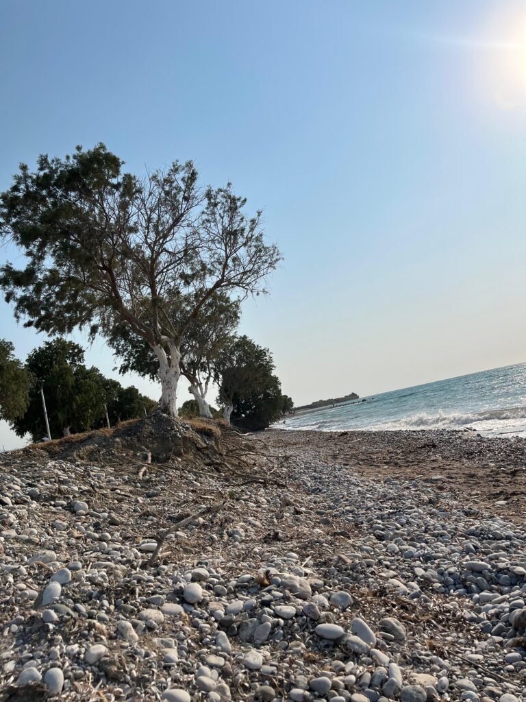  rodos2
