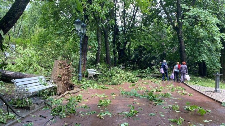 Unsprezece răniţi, în urma furtunii abătute asupra staţiunii Sinaia. Este vorba despre turişti care se aflau pe Aleea Peleşului