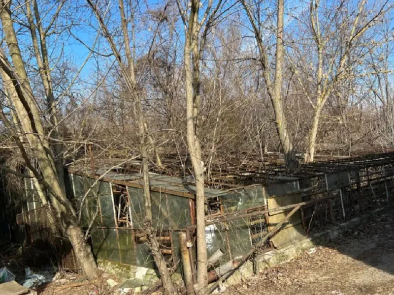 Terenurile Pomicola Băneasa. Paragină râvnită de mogulii imobiliari din jurul lui Puiu Popoviciu