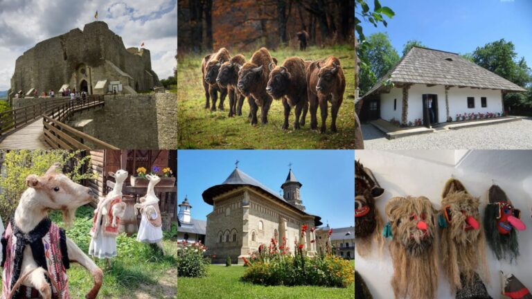 Traseul de weekend: propunerea ZDI – Escapadă în județul Neamț: Cetate, zimbrărie, case memoriale, Amintirile lui Nică din Humulești și mănăstiri