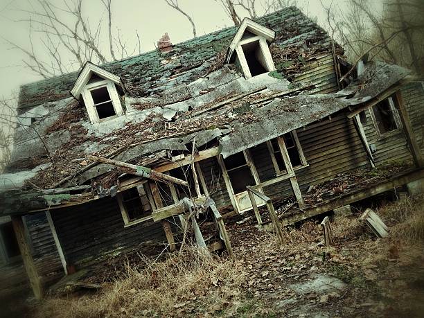 Cabana „Doi Brazi” vă așteaptă!