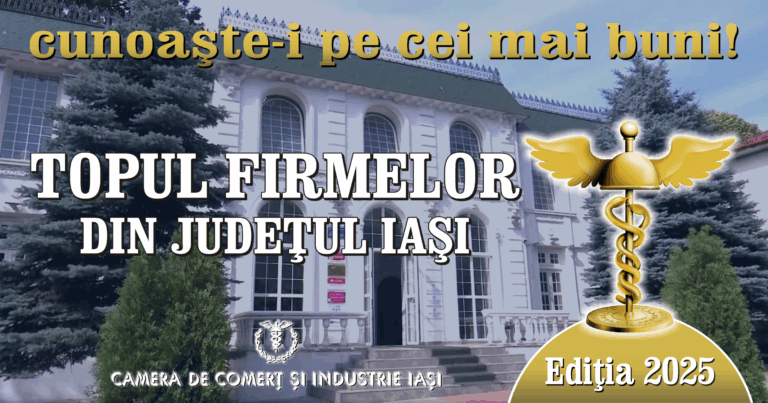 Topul firmelor din Iași 2024: ritmul de creștere este sub potențial, fiind frânat în primul rând de lipsa infrastucturii