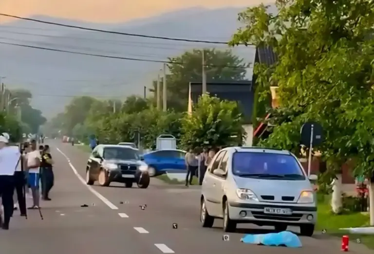 Tragedie la Mălini: Fetiță de 8 ani, lovită mortal pe drumul județean