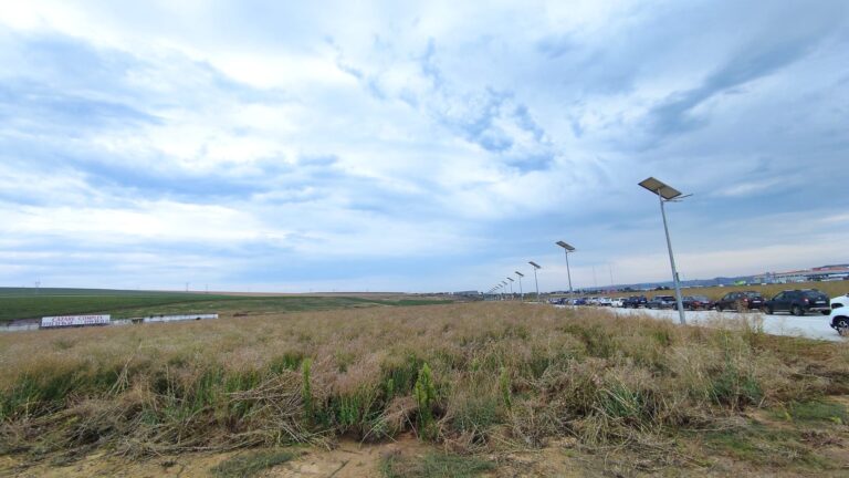 Cel mai mare parc industrial al județului, năpădit de bălării. Unde s-a blocat investiția CJ de la Lețcani? Șapte voturi împotrivă au oprit totul în loc