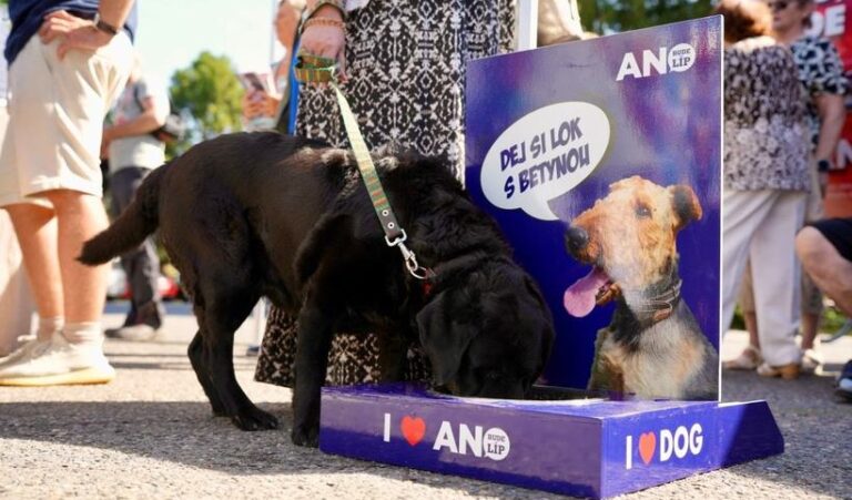 Un cățeluș zguduie campania electorală din Cehia. Fost premier acuzat de violență împotriva animalelor