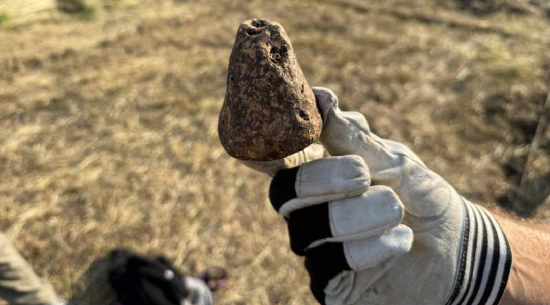 Descoperire arheologică de excepție la Iași: artefacte ale culturii Cucuteni, vechi de peste 6.000 de ani, scoase la lumină de profesorii și studenții Facultății de Istorie din cadrul UAIC