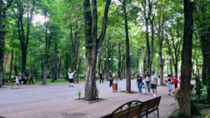 Ce poți face în acest weekend la Iași? Ghidul complet al evenimentelor, realizat de „Ziarul de Iași”