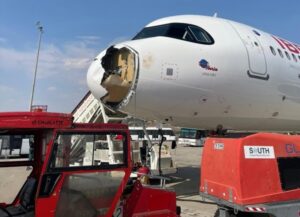 Momente de groază trăite de pasagerii unui avion ce zbura pe ruta Madrid - Paris. Aeronava a rămas fără bot, după coliziunea cu un vultur