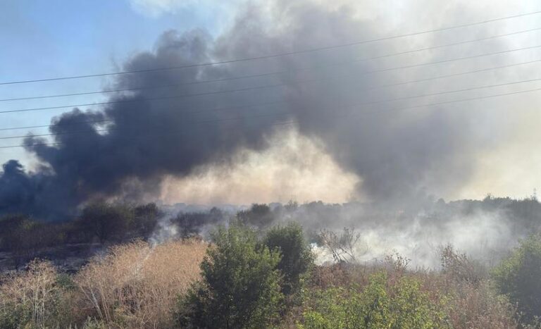 Ilfov: Incendiu de vegetaţie în localitatea Clinceni, existând pericolul extinderii la case