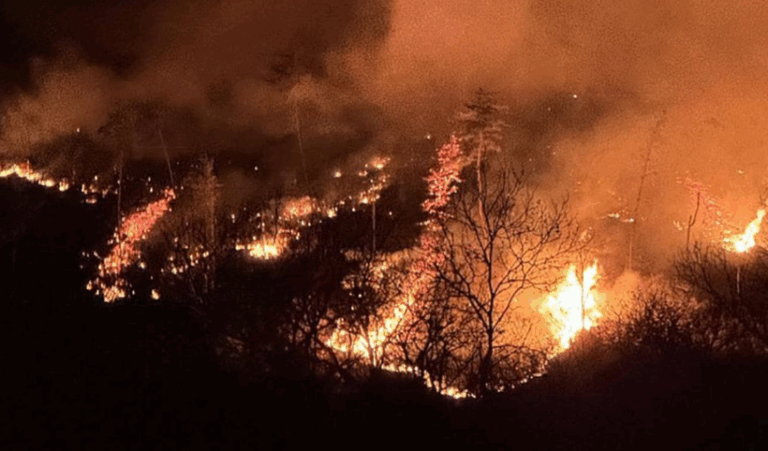 Buzău: Incendiu violent de vegetaţie uscată, extins la un parc auto, unde a cuprins trei TIR-uri şi două microbuze