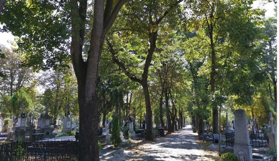 Ieșenii nu scapă de prețuri mari și inflație nici în Lumea de Apoi. Cel mai scump loc de veci a ajuns 25.000 euro. Care mai sunt prețurile în cimitire?