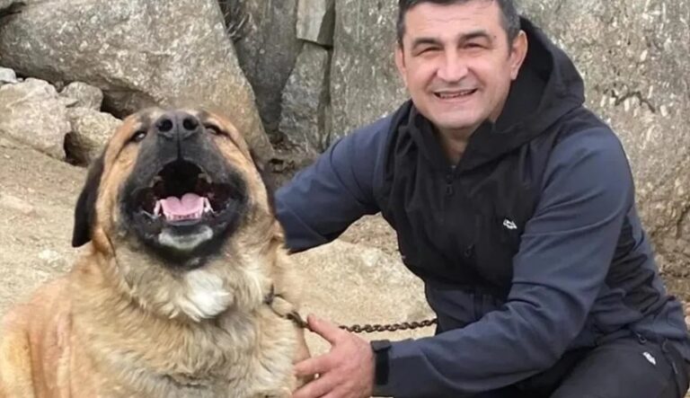 Mircea a murit ca un erou în timp ce încerca să salveze caii unui prieten dintr-un incendiu în Spania. Acum familia cere ajutor pentru a-i repatria trupul