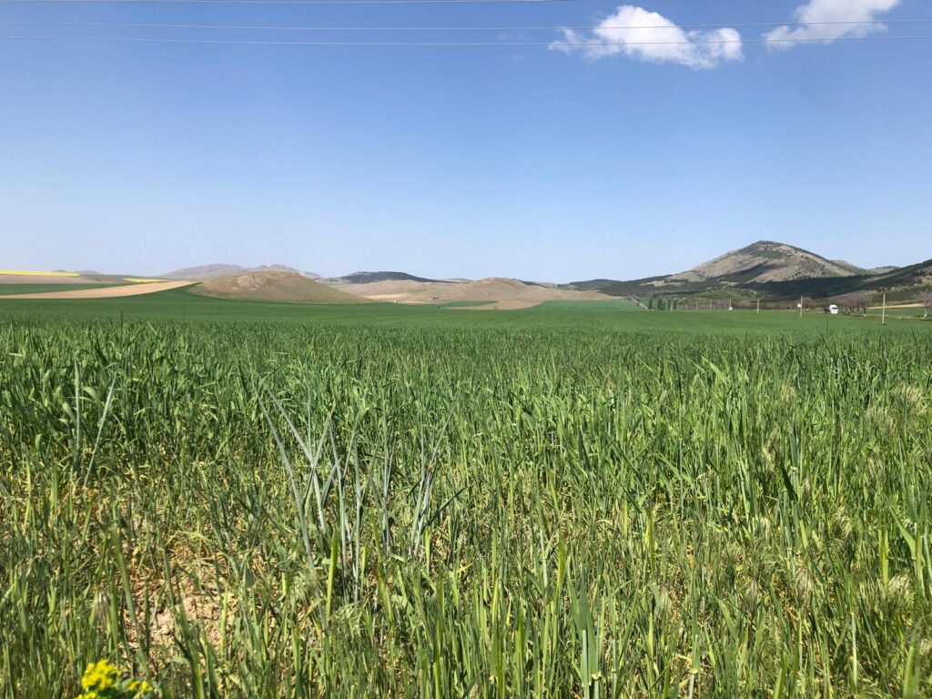  Atenție, fermieri: se apropie termenul limită pentru vizarea carnetelor de rentă viageră agricolă! Detalii de la APIA Iași