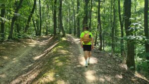 Traseul de weekend: propunerea ZDI – Idee de drumeție prin Codrii Iașului: de pe Dealul Repedea la Stâna Poieni