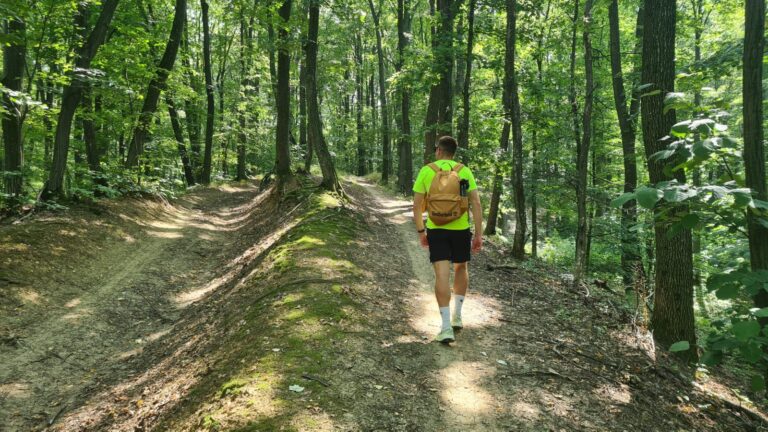 Traseul de weekend: propunerea ZDI – Idee de drumeție prin Codrii Iașului: de pe Dealul Repedea la Stâna Poieni