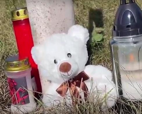 Un român stabilit în Germania și-a ucis logodnica şi apoi a provocat intenţionat un accident rutier în care au murit el şi fiul de trei luni al cuplului