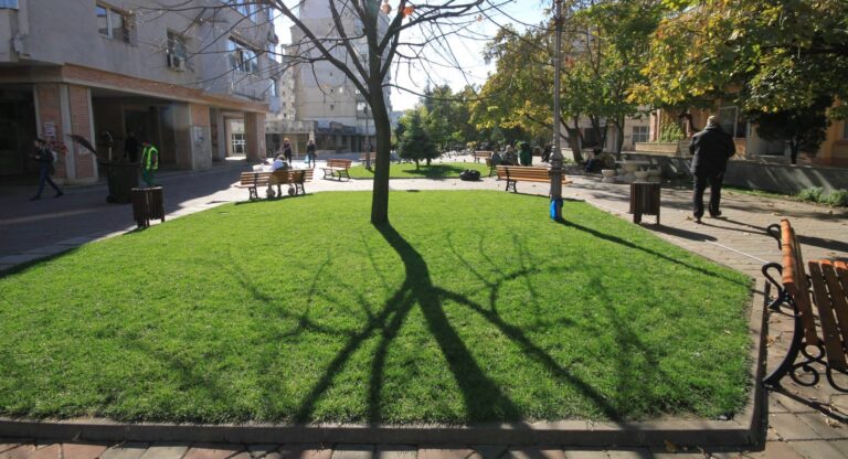 Cât de verde este Iașul? Datele statistice arată o realitate cel puțin surprinzătoare