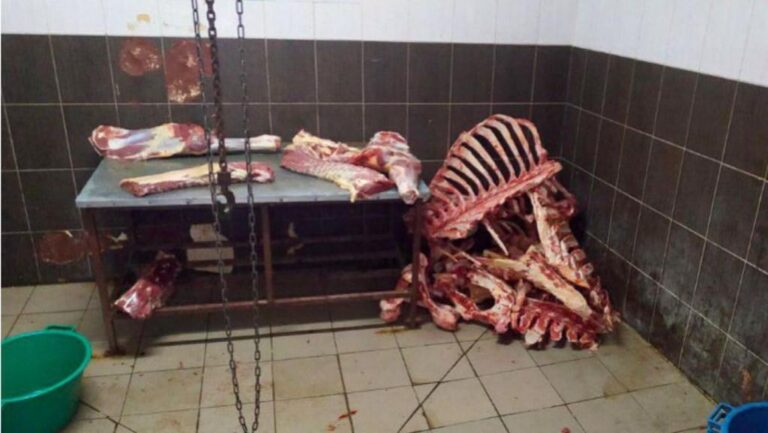 Sacrificări clandestine în Galata: vecinii reclamă, DSVSA spune că nu poate interveni