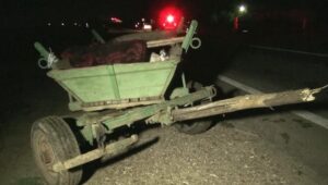 Accident între o căruţă şi o maşină, pe DN 3, în judeţul Constanţa - Un bărbat a murit