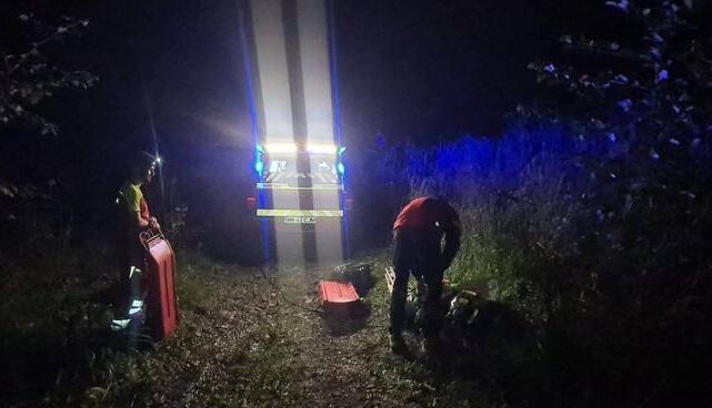  Un bărbat din Baia Mare a murit după ce a fost lovit de un copac