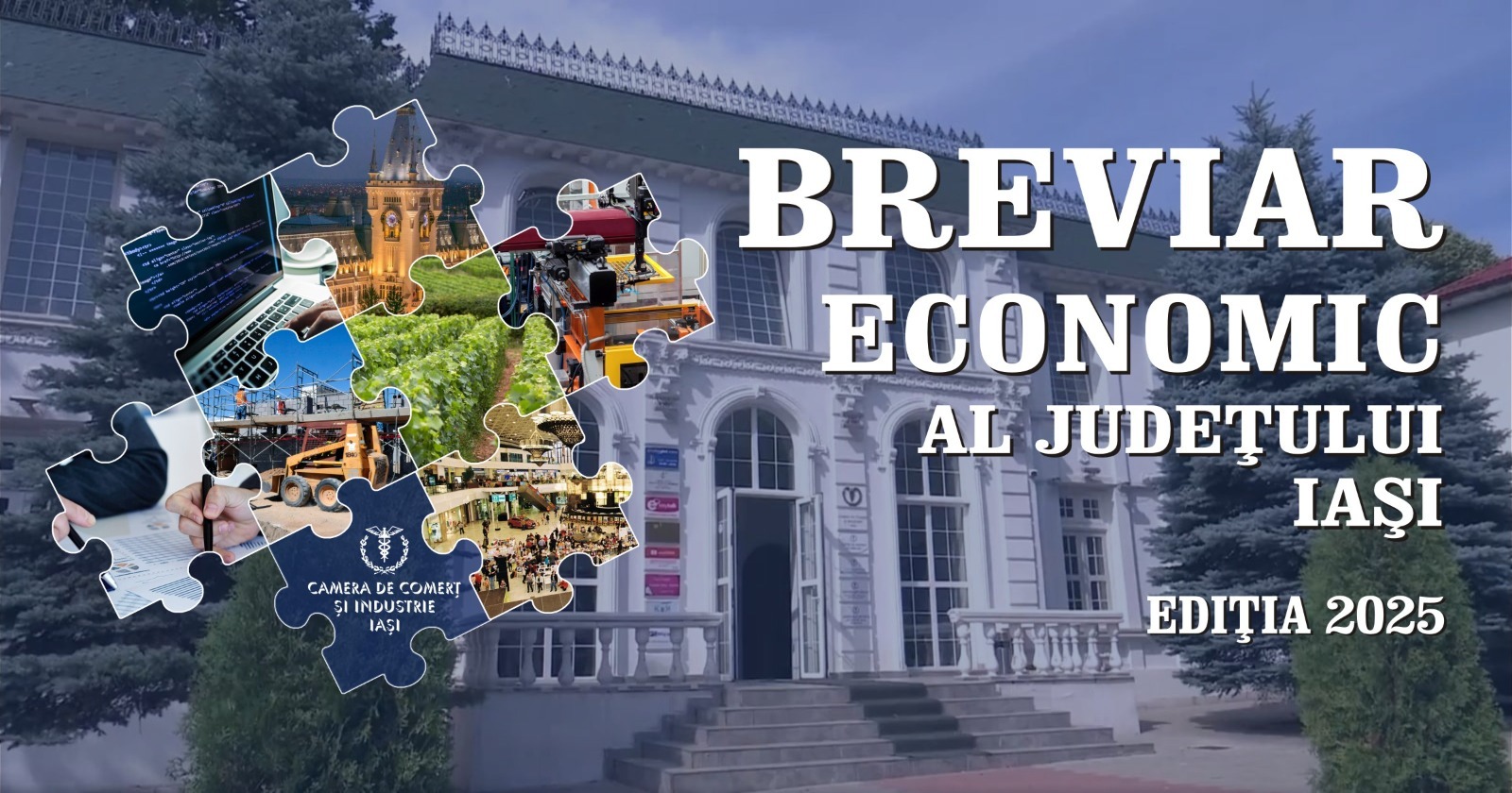 Breviar Economic Camera de Comerț
