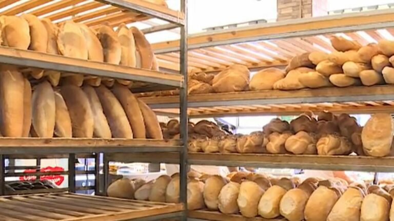 Ce afacere ar putea „înflori” pe lângă brutăria Țac-Țac a fostului primar din Târgu Frumos, Ionel Vatamanu? Cu cât se vinde un teren de aproape 800 mp, alăturat fabricii