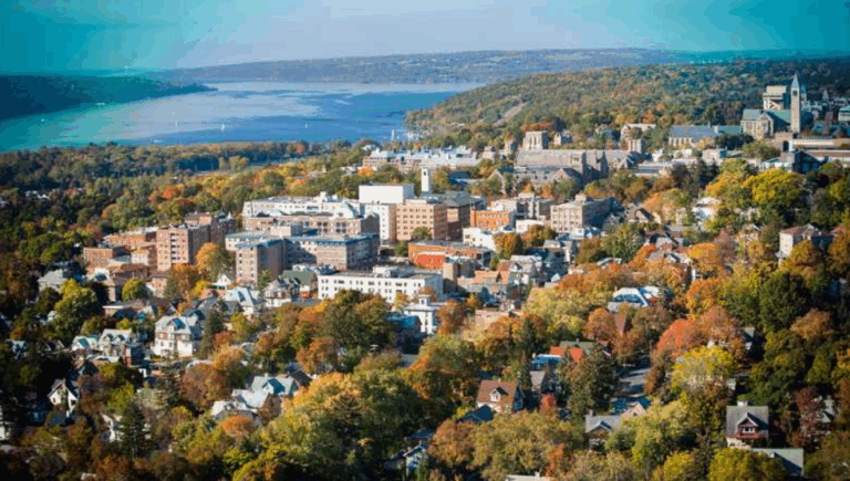 Doi studenți de la o universitate din New York au vânat un urs și l-au tranșat în campus