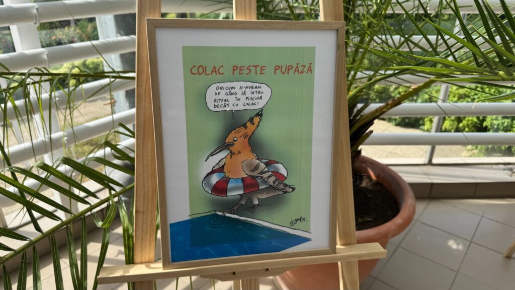  Ziceri românești puse în ramă la Iași: proverbele prind viață în caricaturile lui JUP