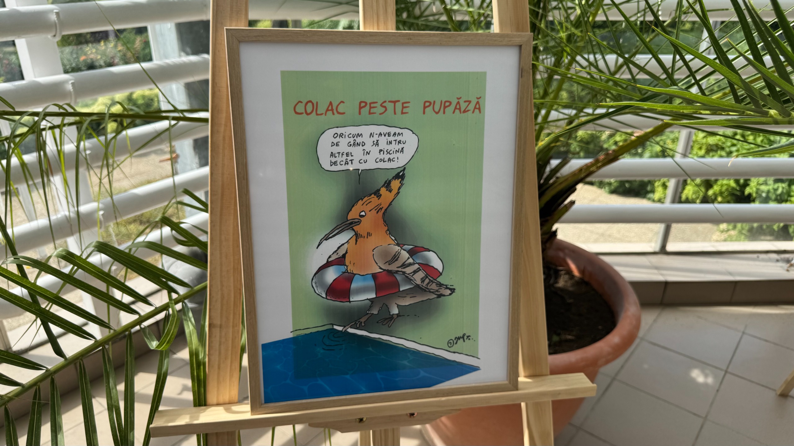 Ziceri românești puse în ramă la Iași: proverbele prind viață în caricaturile lui JUP