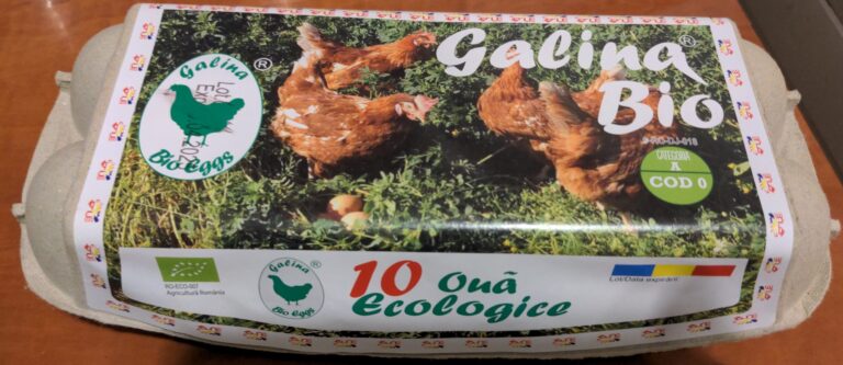 Kaufland şi Mega Image retrag loturi de ouă bio de la vânzare din cauza unui risc de Salmonella Typhimurium