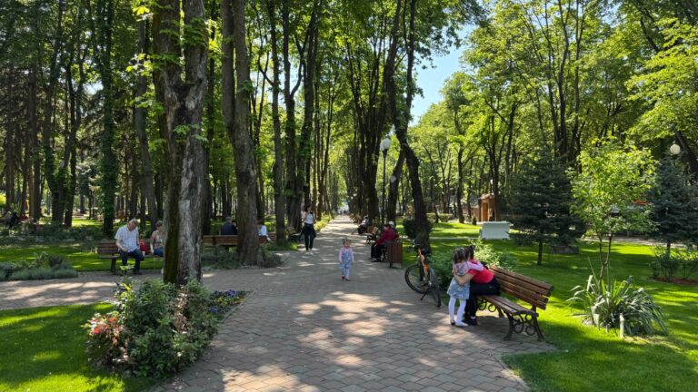 Ce poți face în acest weekend la Iași? Ghidul complet al evenimentelor, realizat de „Ziarul de Iași”