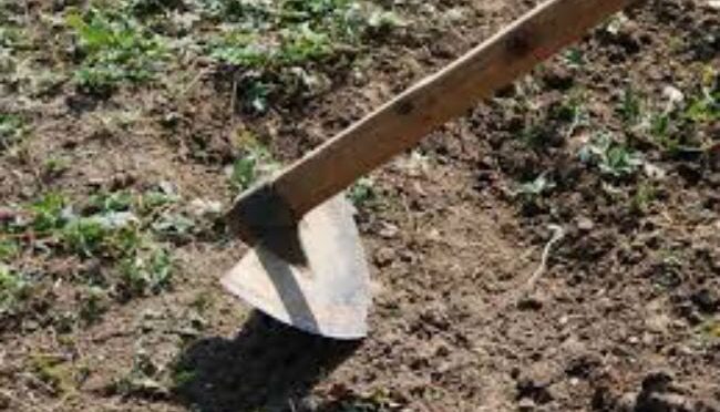 Pocinog după meciul echipei de fotbal a satului: un ieșean va sta 5 ani la pușcărie după ce a vrut să apere cu sapa somnul de după amiază al nepotului