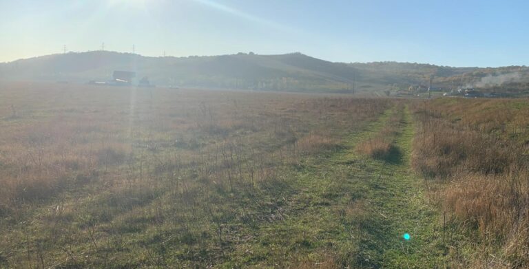 Proiectul „El Dorado“, între promisiuni electorale și dezamăgiri