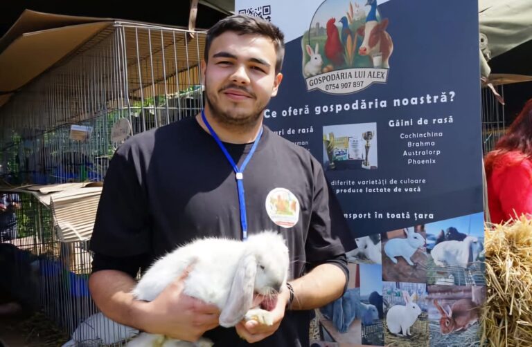 Povestea neobișnuită a lui Alexandru Pădurariu, tânăr student la Facultatea de Medicină Veterinară Iași, care vaccinează gratuit iepuri