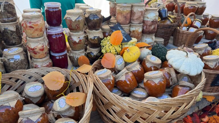 Momente inedite de la Zilele Recoltei, eveniment organizat de USV Iași: „Dacă guști o caisă, te întorci pentru un moment cu 30 de ani în urmă”