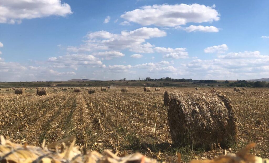  Iașul intră în linie dreaptă pentru plata în avans:  APIA a încheiat controalele pentru Campania 2025