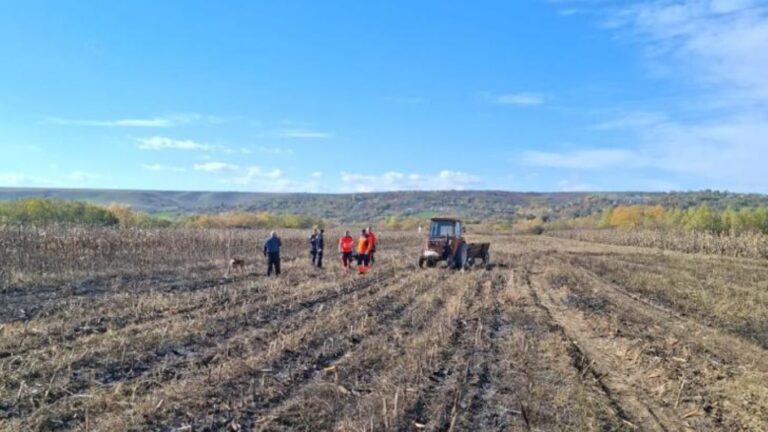 Descoperire șocantă într-un lan de porumb cuprins de flăcări: pompierii au găsit cadavrul carbonizat al unei femei