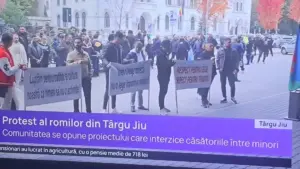 Împotriva proiectului care interzice căsătoriile între minori au protestat doar bărbați adulți, spune ministra Buzoianu