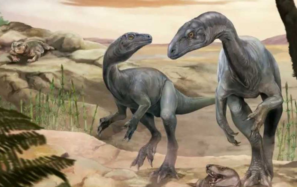  Rămășițele fosilizate ale unuia dintre cei mai vechi dinozauri din lume, descoperite în Argentina