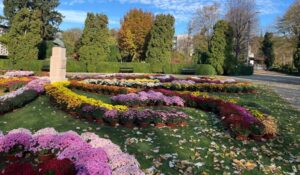 Ce poți face în acest weekend la Iași? Ghidul complet al evenimentelor, realizat de „Ziarul de Iași”