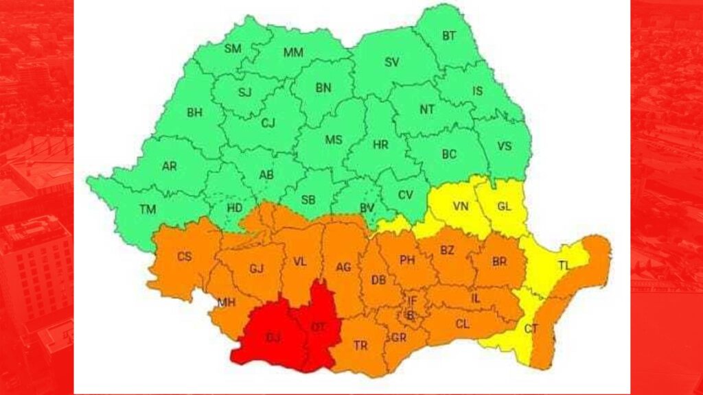  Ninge abundent pe DN 7A, în zona Obârşia Lotrului – Recomandările drumarilor 