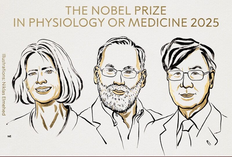  Premiul Nobel pentru Medicină 2025:  Mary E. Brunkow, Fred Ramsdell şi Shimon Sakaguchi „pentru descoperirile lor privind toleranţa imunitară periferică”