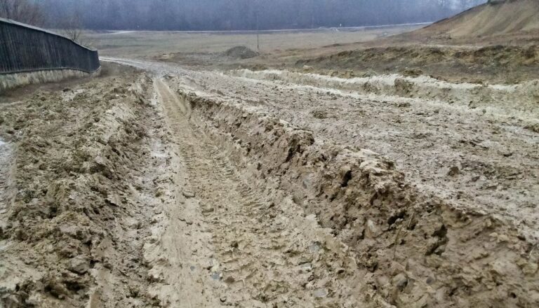 Viața la țară: furci, ciocane, pari și BMW X6. O poveste violentă cum rar se mai poate auzi pe holurile instanțelor ieșene