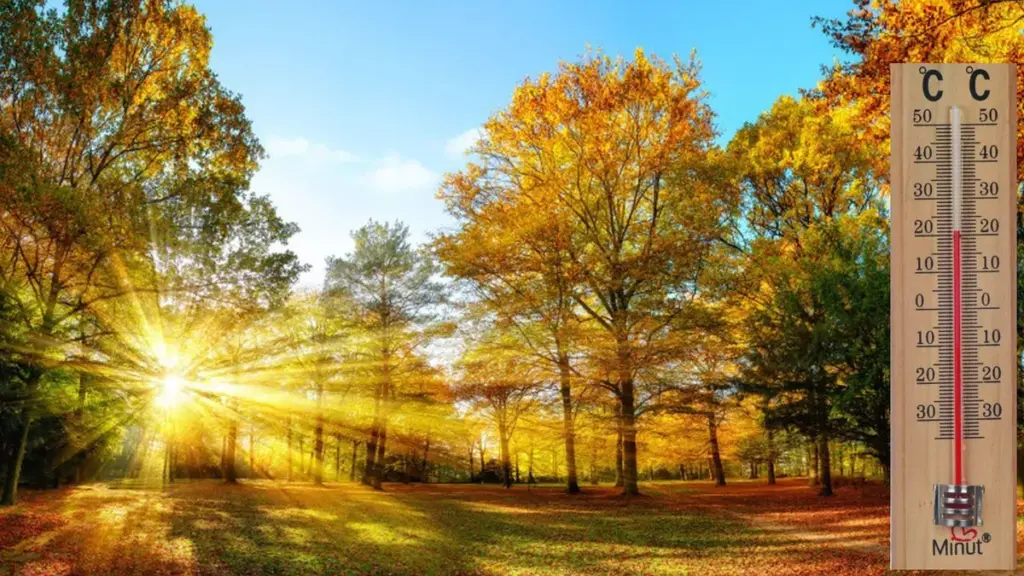  Meteorologii nu sunt magicieni: prognozele „accuweather”, „iadul alb” și „cupola de foc” sunt doar instrumente pentru pierdut vremea