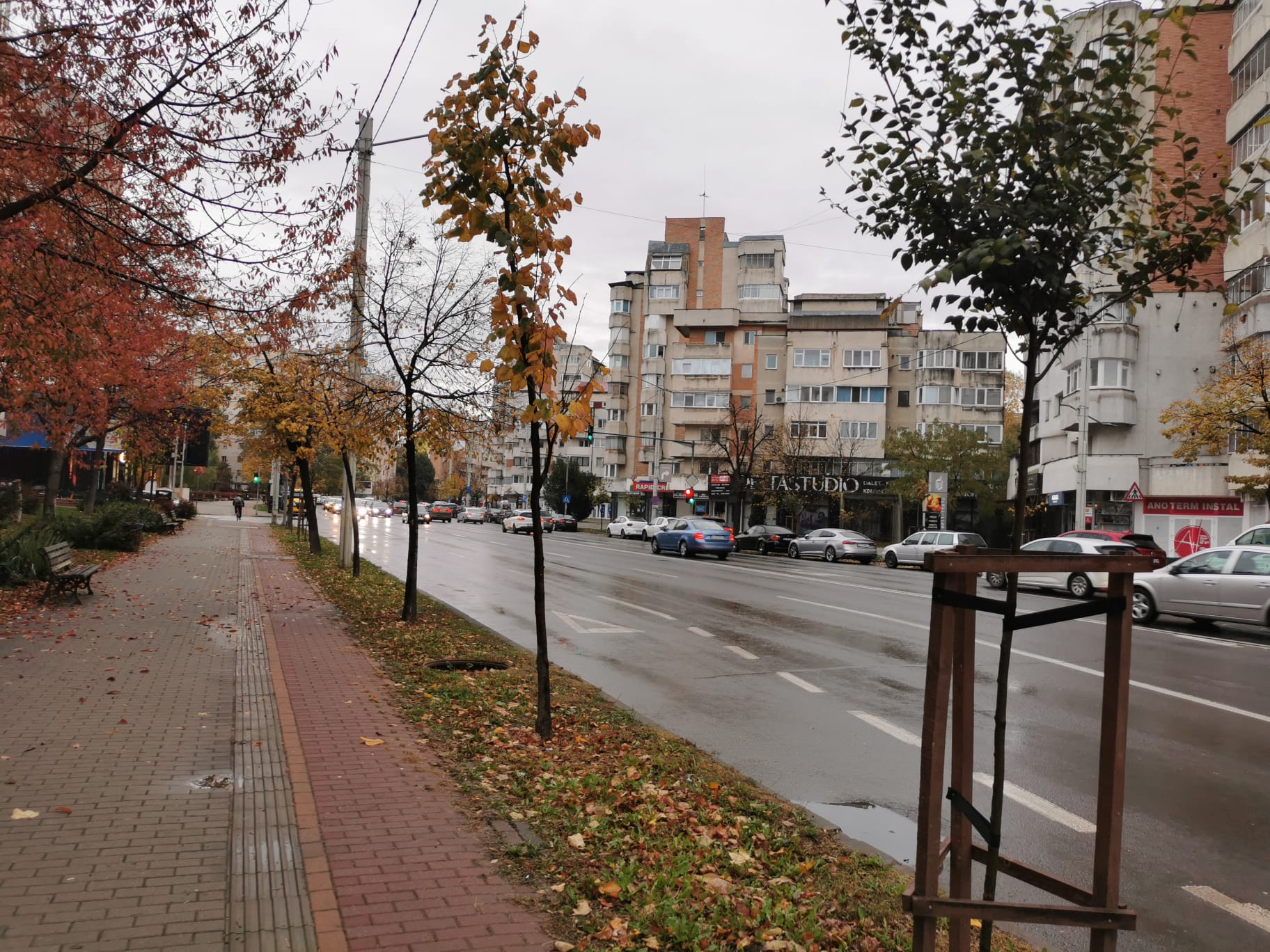 Trafic lejer în Păcurari