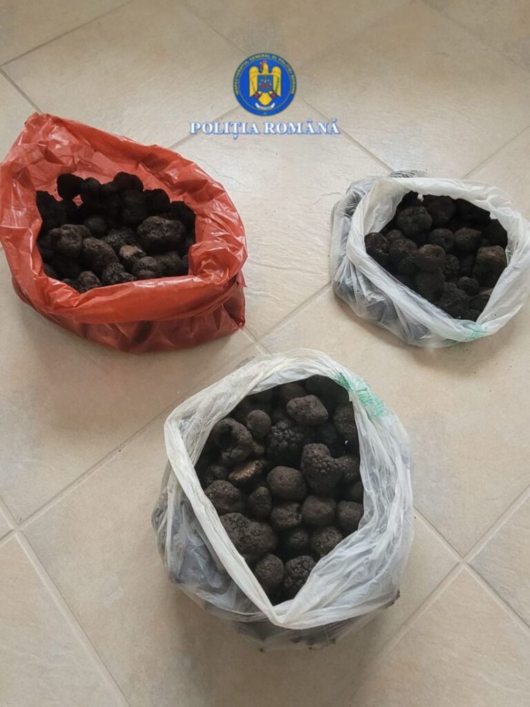  Polițiștii din Neamț au confiscat peste cinci kilograme de trufe negre din mașina unui tânăr