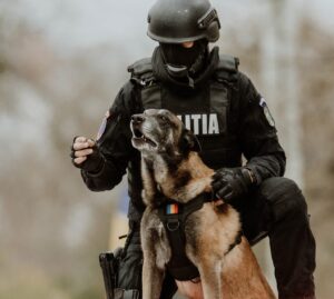 Poliția Iași își ia rămas bun de la câinele polițist Toy: „A fost colegul nostru cu blană, mereu devotat și plin de curaj”