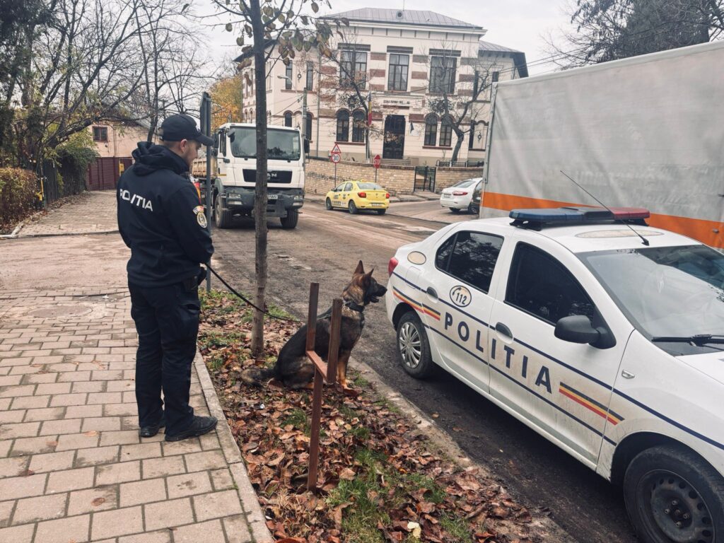  Polițiști cu câini de serviciu în școlile din Iași. Amplă acțiune preventivă în unități de educație din municipiu