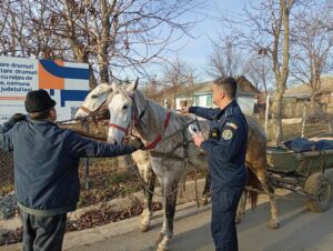 Descinderi în trei comune din Iași: amenzi de 40.000 de lei, magazin fără bonuri și un șofer prins băut la volan