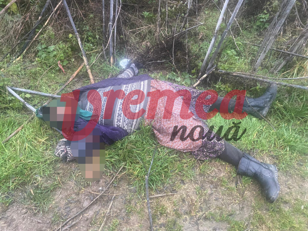  O femeie a fost sfâșiată de câini în Vaslui. Bătrâna se întorcea de la biserică